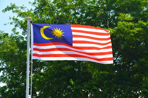 马来西亚国旗,马来西亚国旗,马来西亚国旗,马来西亚,国家,民族,国家,符号 马来西亚国旗,马来西亚国旗,马来西亚国旗,马来西亚,国家,民族,国家,符号