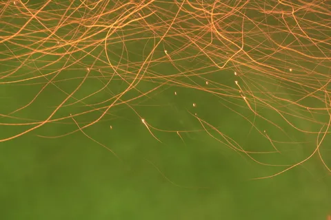 光绘, 黄色, 绿色, 光, 黄色, 绿色, 质地, 效果, 运动 光绘, 黄色, 绿色, 光, 黄色, 绿色, 质地, 效果, 运动