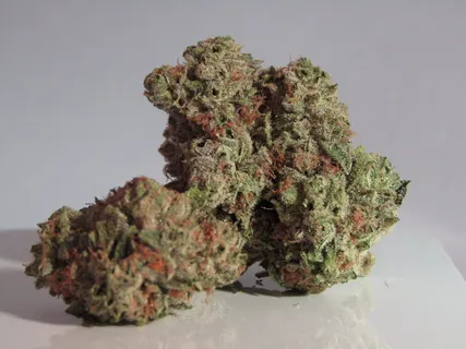 绿色和棕色kush 绿色和棕色kush