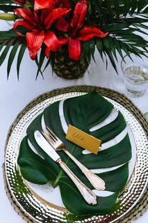 五彩缤纷的奇花异草