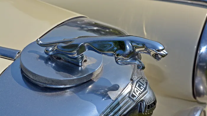 oldtimer、jaguar、酷炫身材、auto、old、classic、pkw、old car