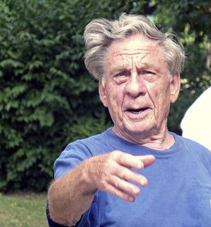 爷爷，老了，运动，健康，运动员，满意，快乐，脸