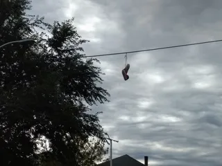 云-天空，天空，低角度视图，树，自然，植物，悬挂，电缆