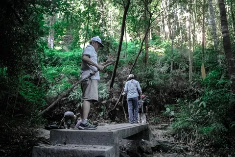 人，人，冒险，户外，环境，探险，徒步旅行，雨林