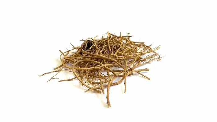 中药，草药，干中药，白色背景，剪贴，工作室拍摄，特写，室内