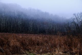 美国，俄亥俄州，梦幻，梦幻，黑暗，恐怖，神秘，喜怒无常