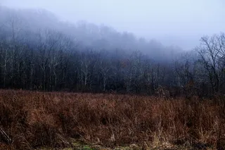 美国，俄亥俄州，梦幻，梦幻，黑暗，恐怖，神秘，喜怒无常