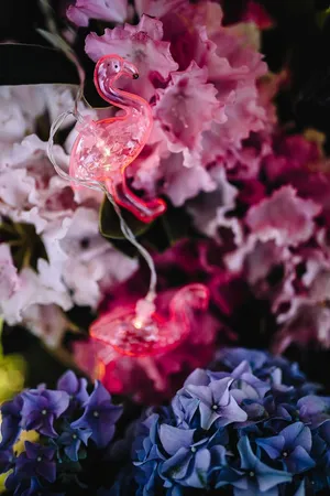 火烈鸟淡花环和粉色花朵