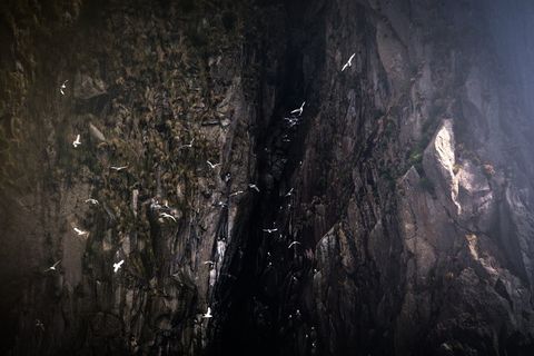 岩洞, 自然, 户外, 洞穴, 悬崖, 峡谷, 徒步旅行, 野生动物