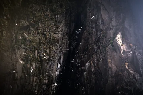 岩洞, 自然, 户外, 洞穴, 悬崖, 峡谷, 徒步旅行, 野生动物