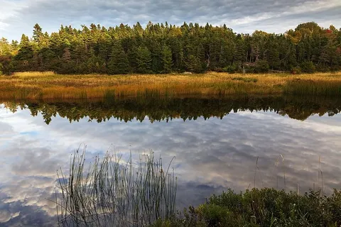 秋天的色彩和河流小径上的倒影。