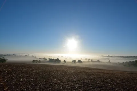 英国,霍克诺顿,上午,英国,科茨沃尔德,太阳,菲利兹,雾 英国,霍克诺顿,上午,英国,科茨沃尔德,太阳,菲利兹,雾