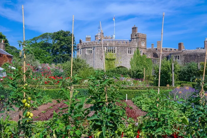 castle，schlossgarten，蔬菜园，植物，自然，walmer castle，英格兰，肯特郡