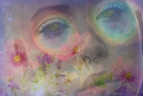 女人,猫眼,被包围,花瓣花朵,数码,壁纸,迷幻,彩虹色 女人,猫眼,被包围,花瓣花朵,数码,壁纸,迷幻,彩虹色
