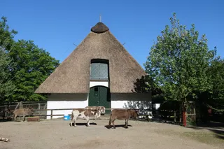 不来梅，市民公园，动物围栏，不来梅bürgerpark，驴子，公园，休闲，旅游