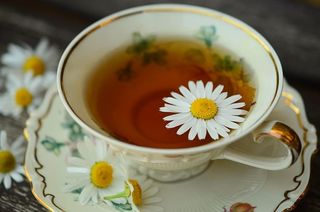采购产品白色和金色，陶瓷，杯子，碟子，洋甘菊，洋甘菊茶，金边，饮料