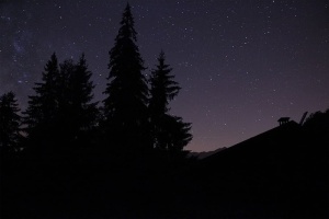 黑暗，午夜，夜晚，剪影，天空，星星，树，星星-空间