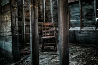 空的，木制的，椅子，里面的，废弃的，建筑房间，景观，树林