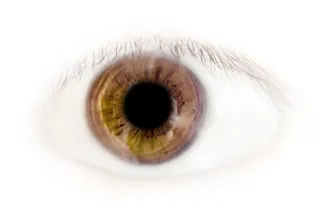 眉毛、护理、清晰、清洁、特写、角膜、创意、梦想