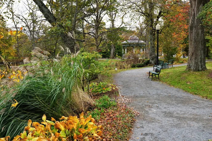 哈利法克斯，自然，加拿大，秋天，公园，自然，加拿大，树木，户外