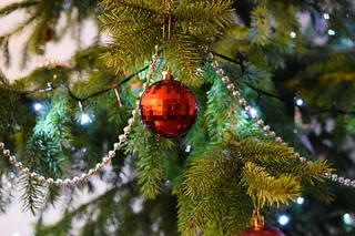 圣诞树上挂着红色的包袱