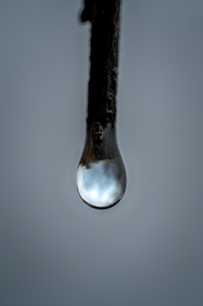法国，勃艮第，pro，2.8，60mm，雨，滴，雨滴