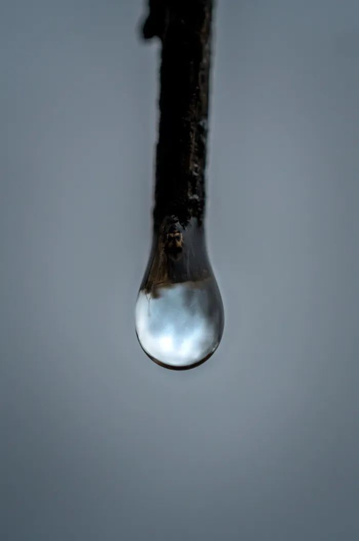 法国，勃艮第，pro，2.8，60mm，雨，滴，雨滴