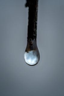 法国，勃艮第，pro，2.8，60mm，雨，滴，雨滴