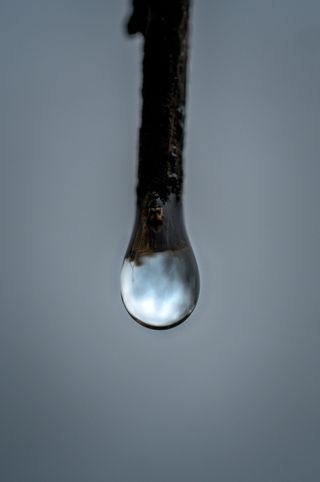 法国，勃艮第，pro，2.8，60mm，雨，滴，雨滴