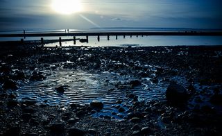 加拿大，萨里，新月海滩，水，天空，自然，海洋，日落
