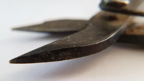 钳子，金属，设备，手持，手动工具，特写，白色背景，工具