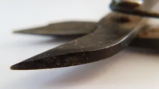 钳子，金属，设备，手持，手动工具，特写，白色背景，工具