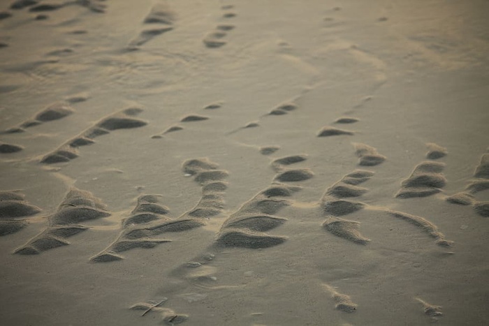 土壤，沙子，户外，自然，沙丘，阿布扎比，阿拉伯联合酋长国，足迹