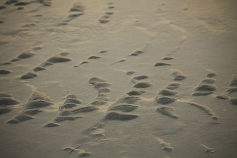 土壤，沙子，户外，自然，沙丘，阿布扎比，阿拉伯联合酋长国，足迹