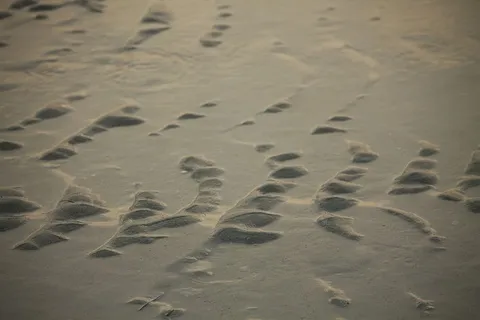 土壤，沙子，户外，自然，沙丘，阿布扎比，阿拉伯联合酋长国，足迹