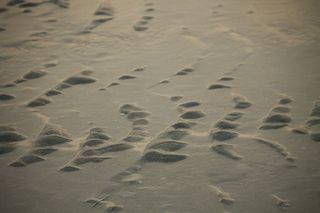 土壤，沙子，户外，自然，沙丘，阿布扎比，阿拉伯联合酋长国，足迹
