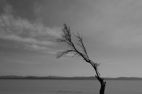 澳大利亚，霍巴特，唐纳利，天空，海滩，海滩，人，单色