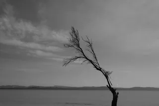 澳大利亚，霍巴特，唐纳利，天空，海滩，海滩，人，单色