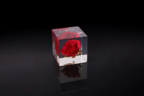玻璃立方体中的红玫瑰