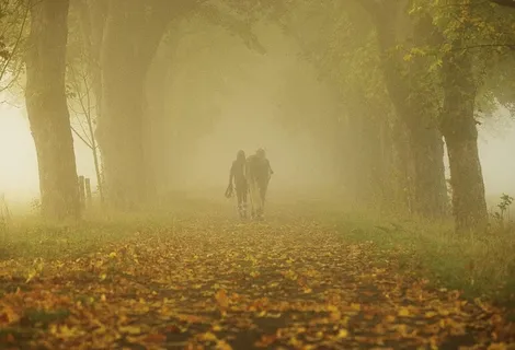 森林里的人和马