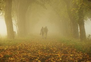 森林里的人和马