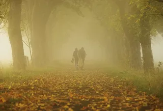 森林里的人和马