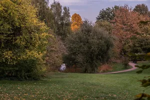 花园，树木，自然，秋天，公园，景观，路径，风景