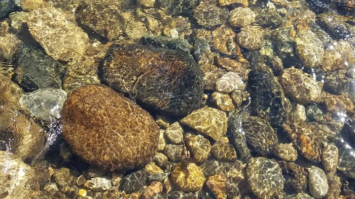 岩石地段，水，溪流，岩石，科罗拉多州，山，夏天，清澈