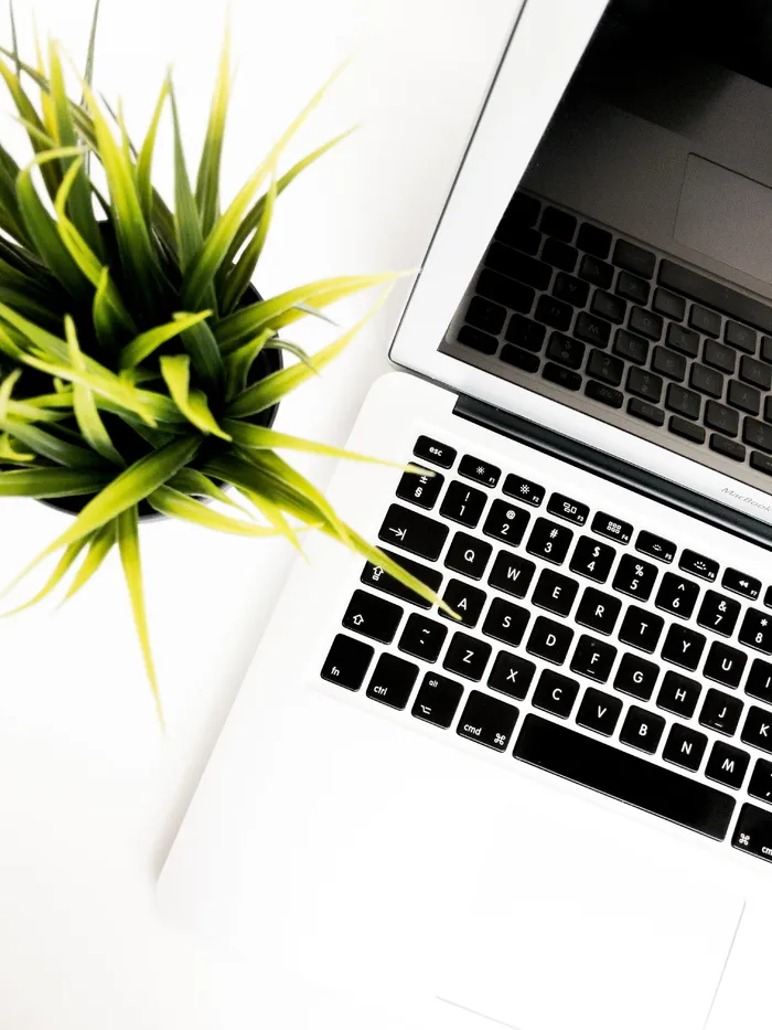 银色MacBook Air旁边的线状叶子植物