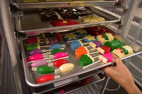 美国，伊利诺伊州戈尔康达，巧克力工厂，美味，巧克力，巧克力机，彩色，糖果