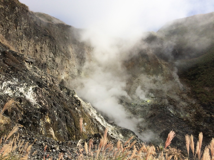 肖有坑，维基项目，*，台北，山，云，远景，芒属植物，火山