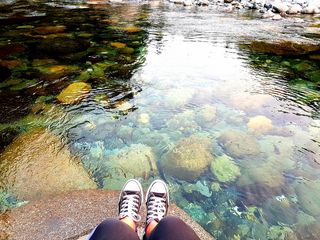 加拿大，温哥华，低处，水，人腿，人体部分，人体部分，真人