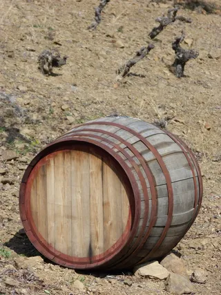 木桶，葡萄园，葡萄栽培，葡萄酒，木桶，土地，木材，圆筒
