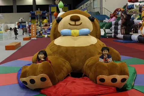 熊，世界上最大的熊，泰迪熊，玩偶，游乐场，代表，室内